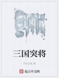 三国突将免费阅读